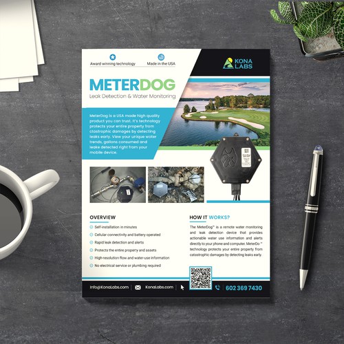 MeterDog FLyer