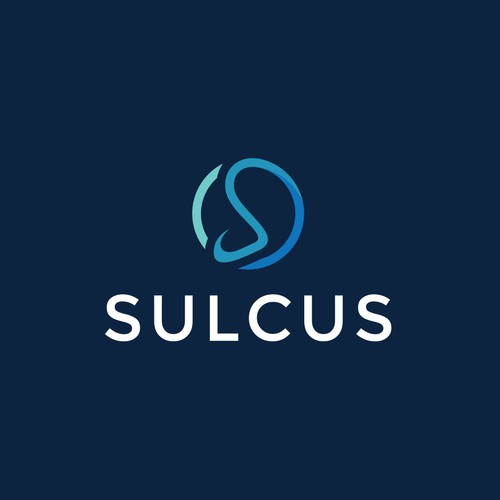 SULCUS