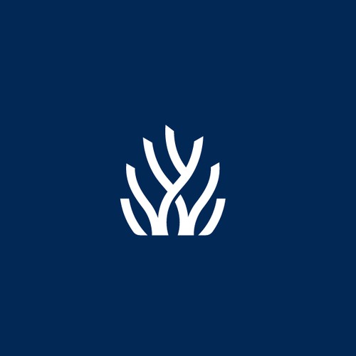 REEFHAVEN Ventures logo