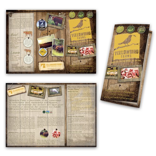 Create a brochure for Yellowbird Farms grass fed beef & lamb