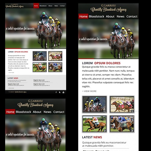 website design for Chantilly Bloodstock Agency (Responsive Web Design)