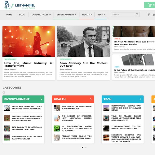 WordPress theme for a blog.