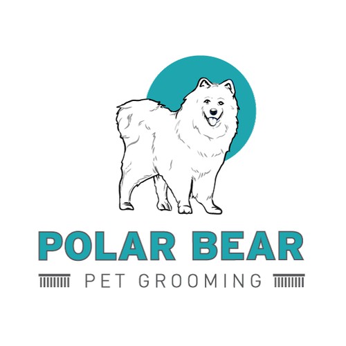 Polar Bear Pet Grooming!