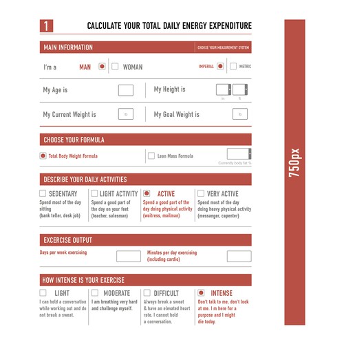 Diet calculator improved UX design.