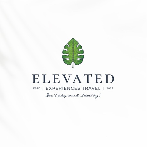 Logo design for travel agency