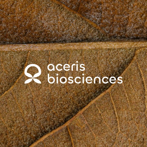 Aceris
