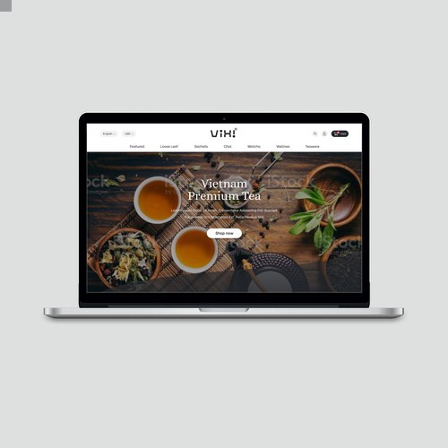 Vixi Website Design Concept