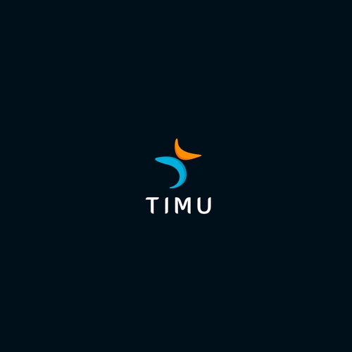 Timu Logo Design Proposal