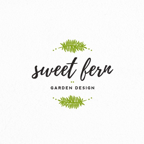 Sweet Fern