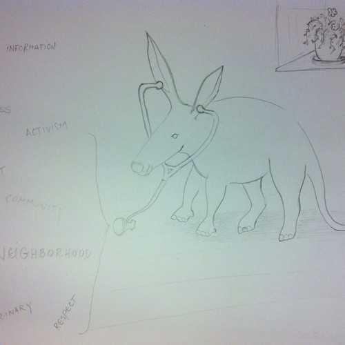 Aardvark - very interesting mammal 