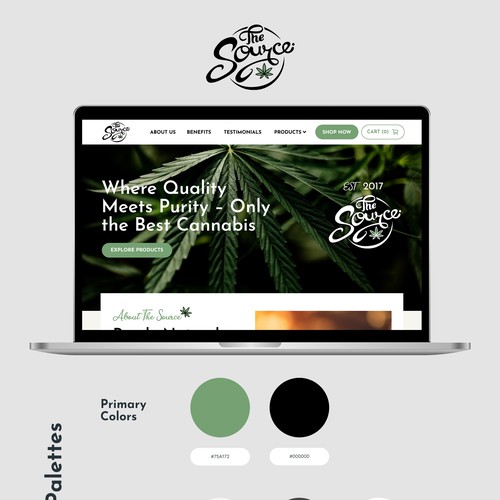 The Source Template