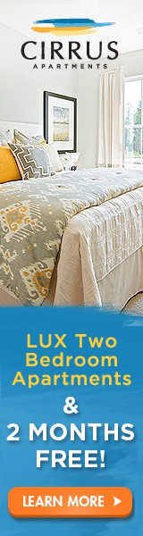 Lux Apartment Banner Ad Contest