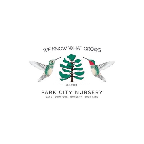 Logo Concept for Nursery