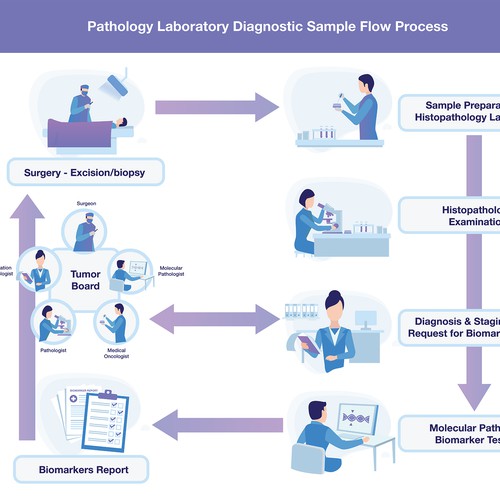 Illustrations for a Pathology Laboratory Diagnostics Process