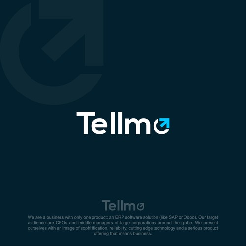 A modern logo for an enterprise software company that means serious business