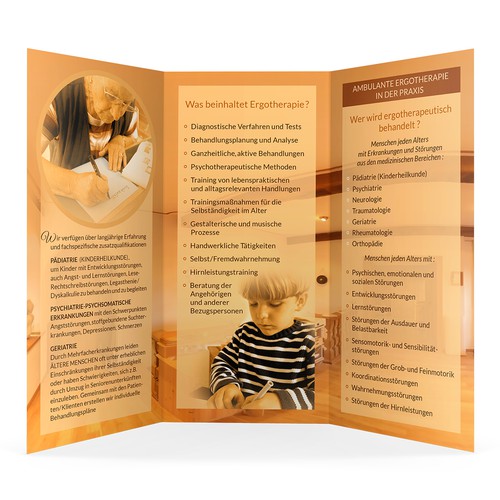 Professional Brochure - Therapy Practice