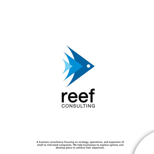 reef consulting
