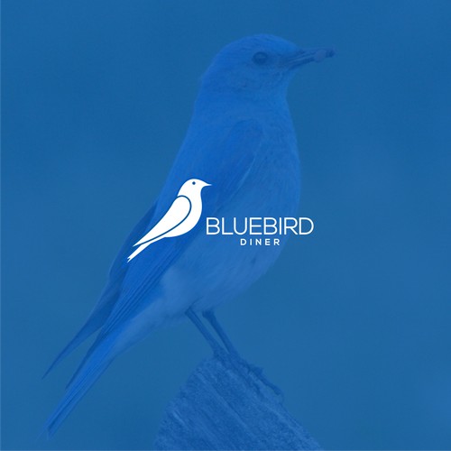 Blue Bird 