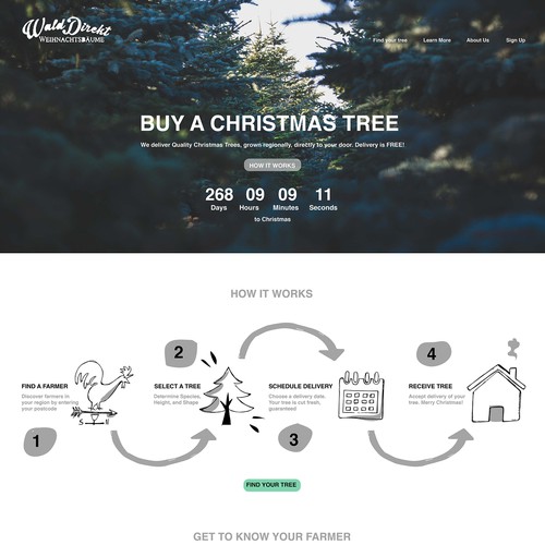 Website Redesign for a Christmas tree online retail