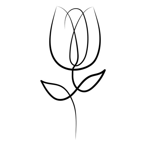 Tulip