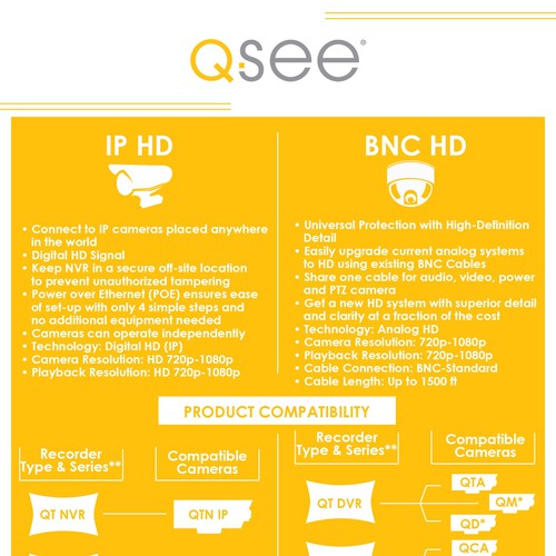 Infographic about Surveillance Cameras
