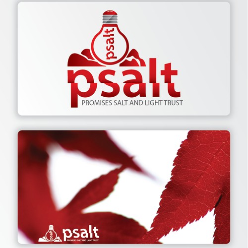 logo for SALT