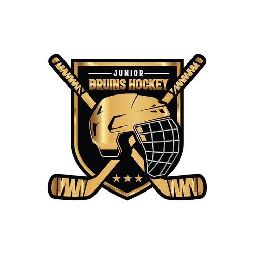Bruins Hockey