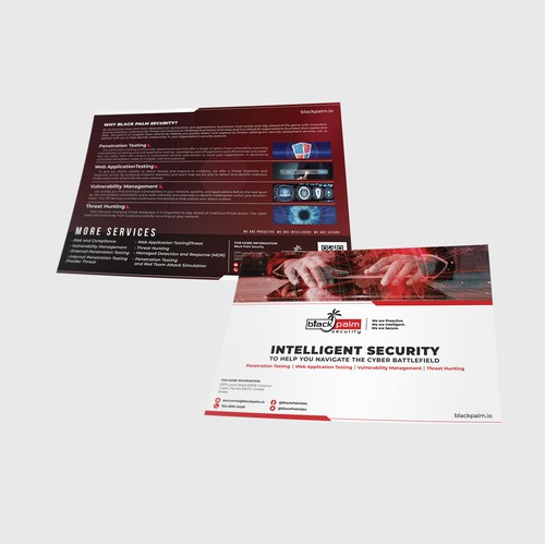 Minimalist Design Flyer for Web Security Service