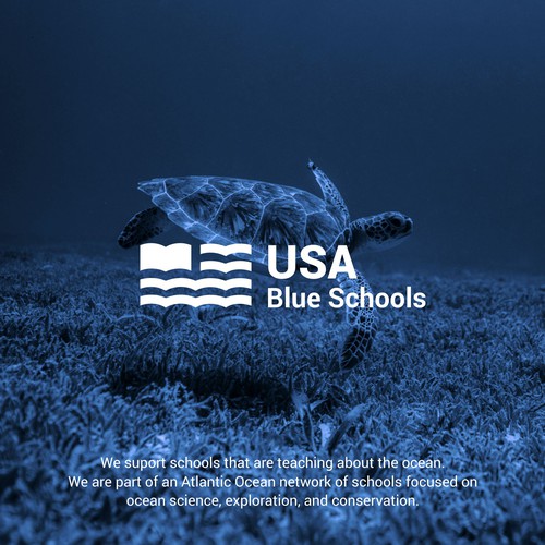 USA School Logo