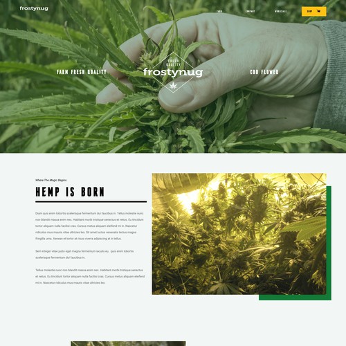 hemp web design