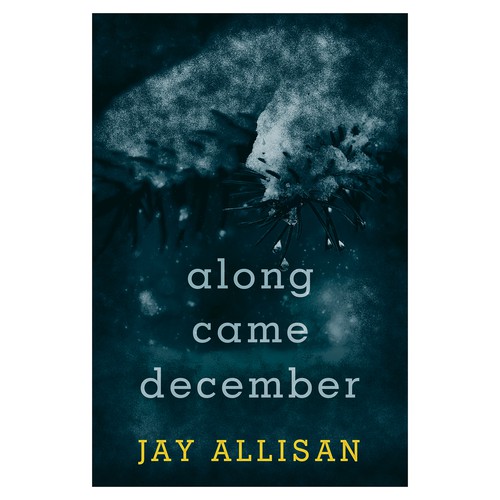 Book cover for "Along Came December"