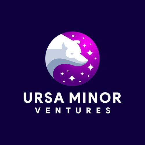 Ursa Minor Ventures