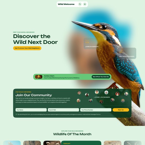 Landing Page
