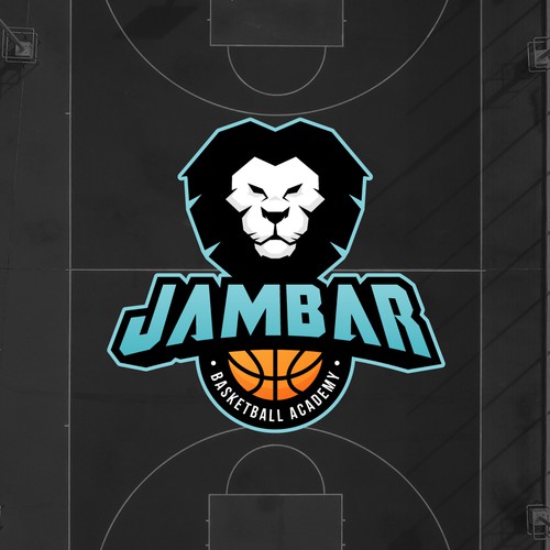 Concept for a Basketball Academy