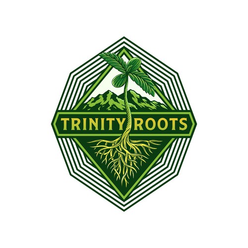 TRINITY ROOTS