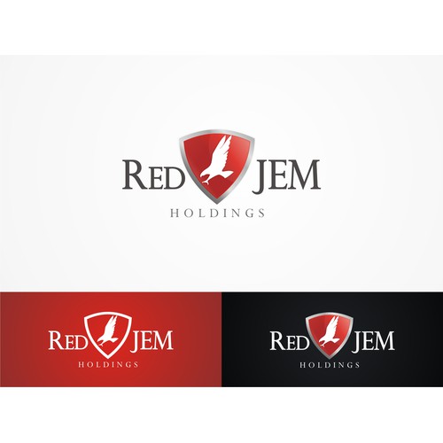 New Investment Firm Requires Exciting Logo Concept