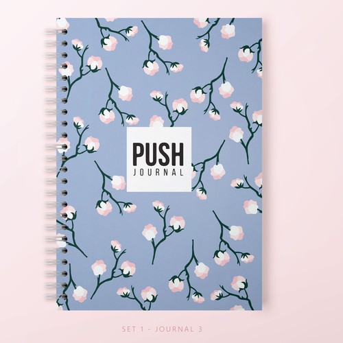 PUSH Journal