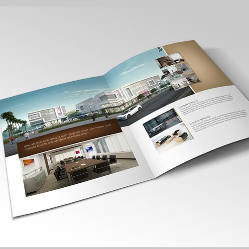 Real Estate company Brochure