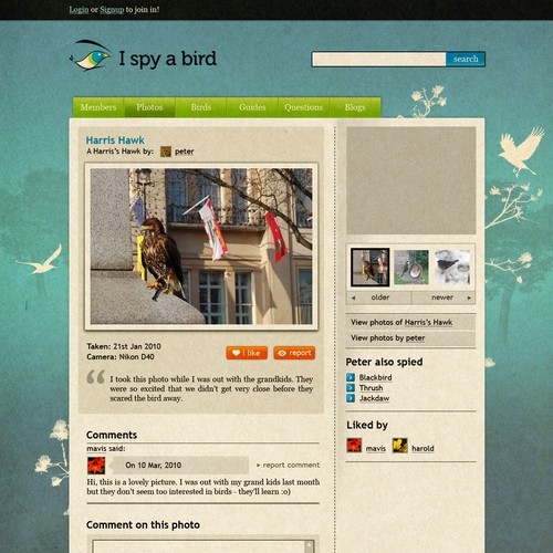 Please design us 1 page for a bird watching website, no coding