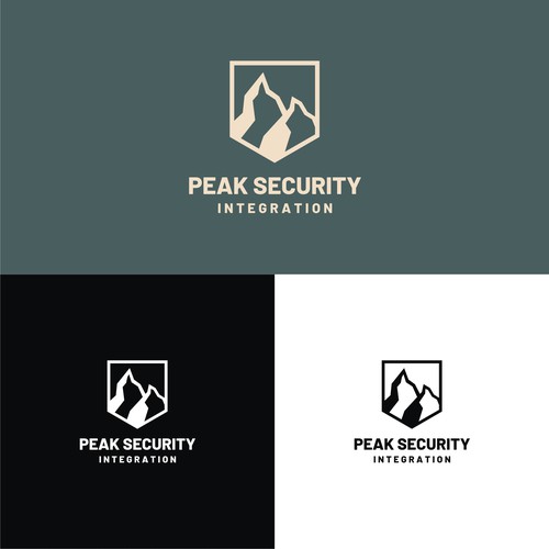 Logo concept Peak Security Integration