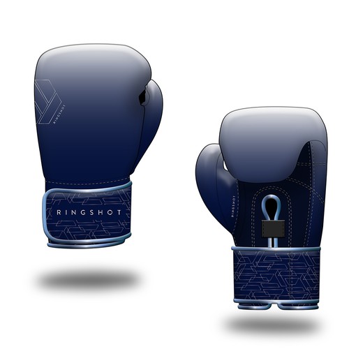 Sophisticated Boxing Gloves