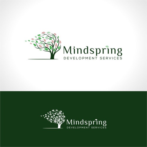 Mindspring