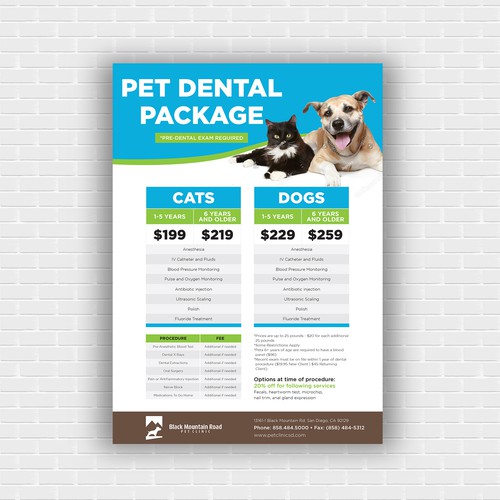 Flyer design for Pet Dental