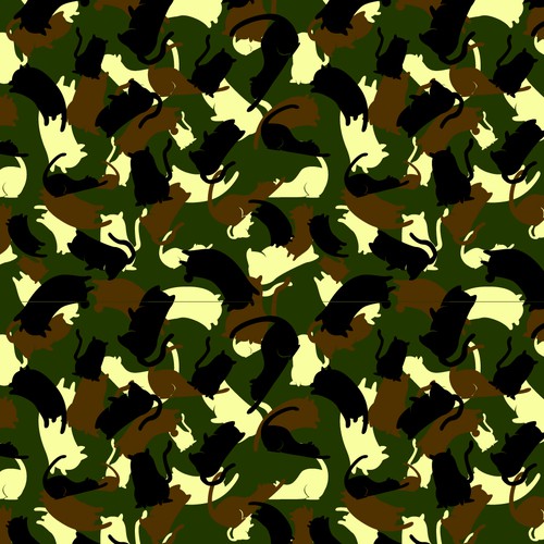 camouflage pattern