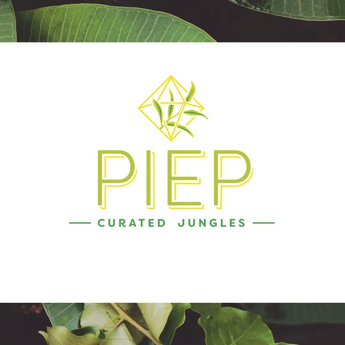 Modern, sleek logo concept for an exotic plant delivery service