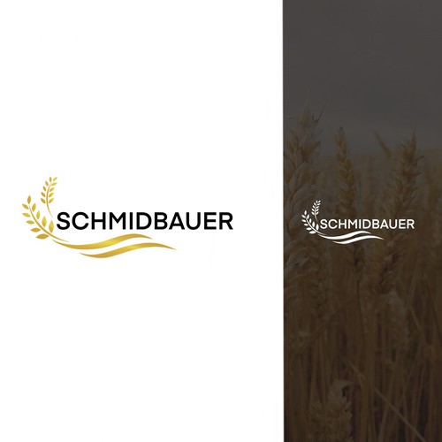 Schmidbauer 