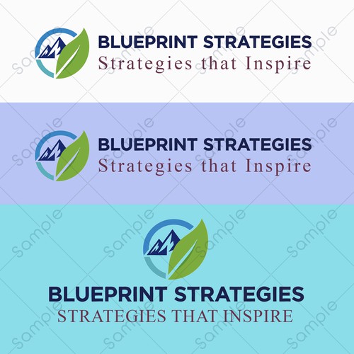 Blueprint Strategies