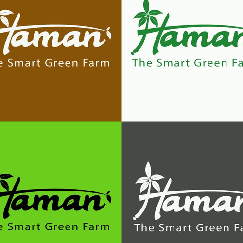 Logo Concept HAMAN