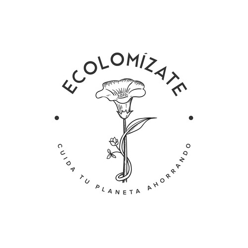 Logo concept for ECOLOMIZATE