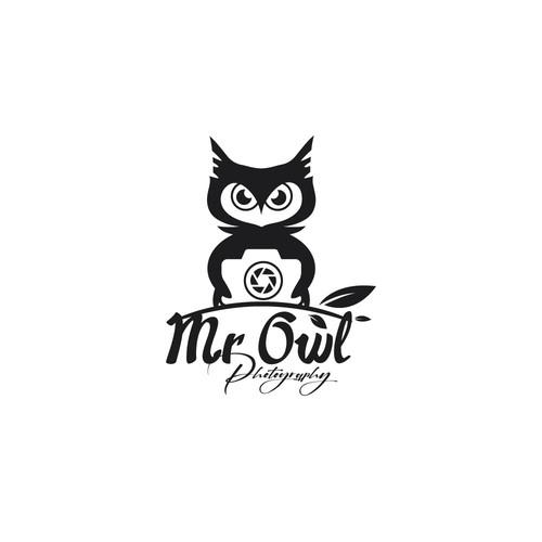 Mr Owl Photography